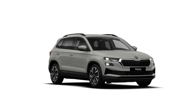 Škoda Karoq AM