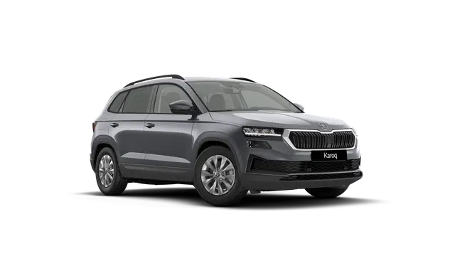 Škoda Karoq AM