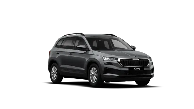 Škoda Karoq AM