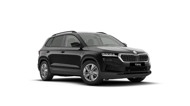 Škoda Karoq AM