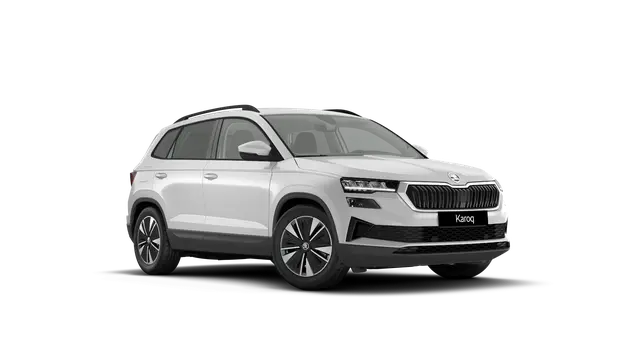 Škoda Karoq AM