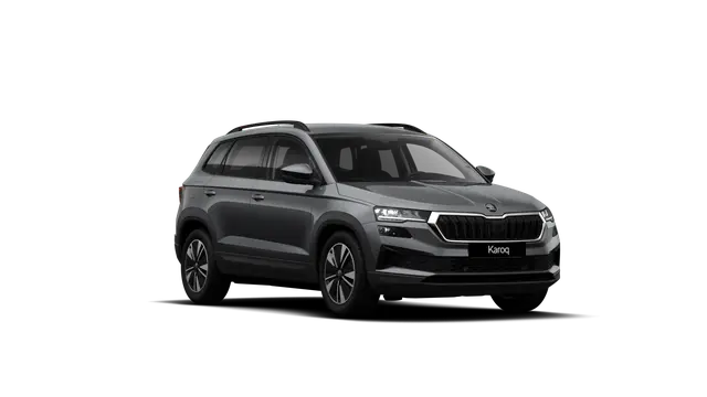 Škoda Karoq AM
