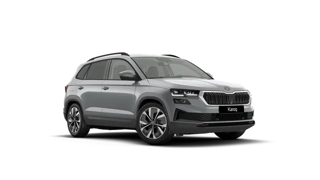 Škoda Karoq AM