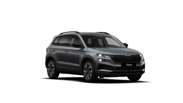 Škoda Karoq AM