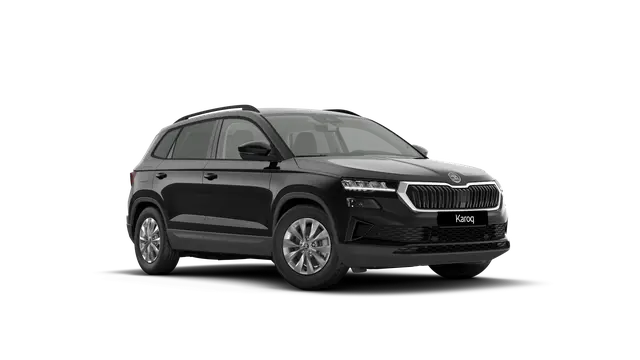 Škoda Karoq AM