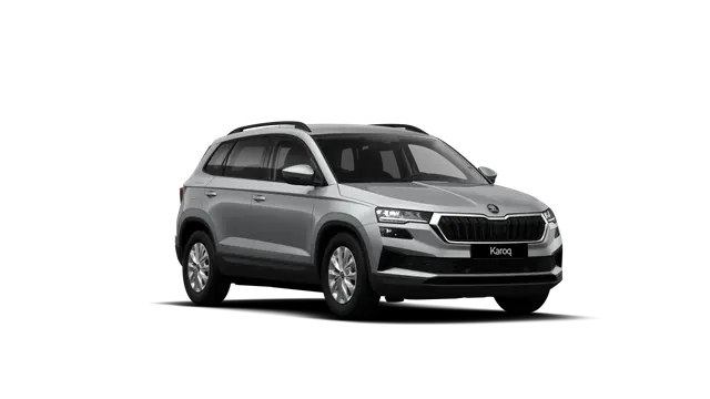 Škoda Karoq AM