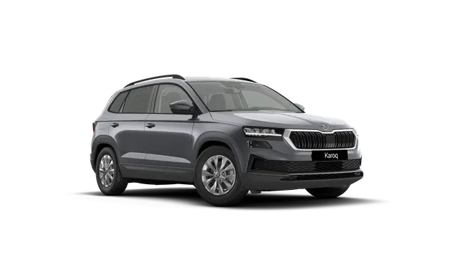 Škoda Karoq AM