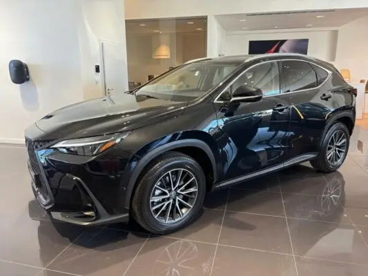 Toyota Lexus NX Executive (2x4)