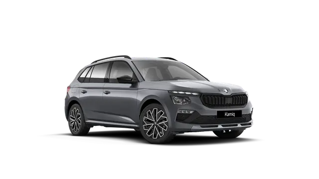 Škoda Kamiq AM