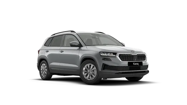 Škoda Karoq AM