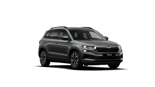 Škoda Karoq AM