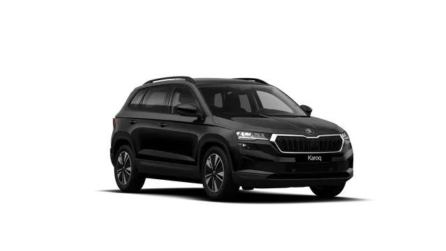 Škoda Karoq AM