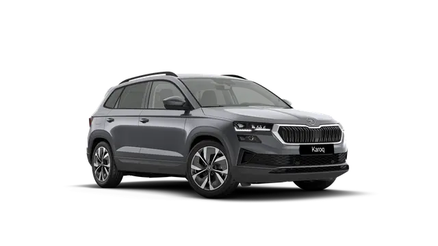 Škoda Karoq AM