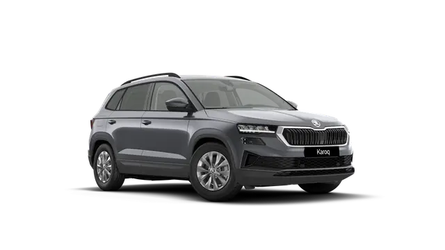 Škoda Karoq AM