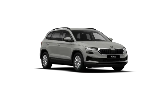 Škoda Karoq AM