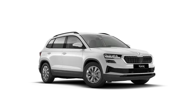 Škoda Karoq AM